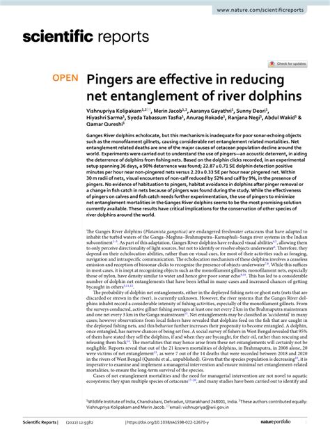 nag pinger|Pingers are effective in reducing net entanglement of river dolphins .